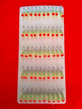 �������� ��������� �81 ����� ��������� (�����) (��.�6, 50��.)